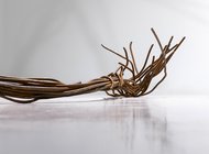 В PA Gallery проходит последняя выставка Ани Желудь