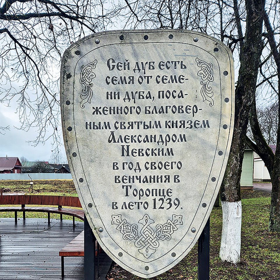 Памятный щит около дуба, выращенного из желудя с дерева, которое посадил Александр Невский.  Фото: Татьяна Тафинцева